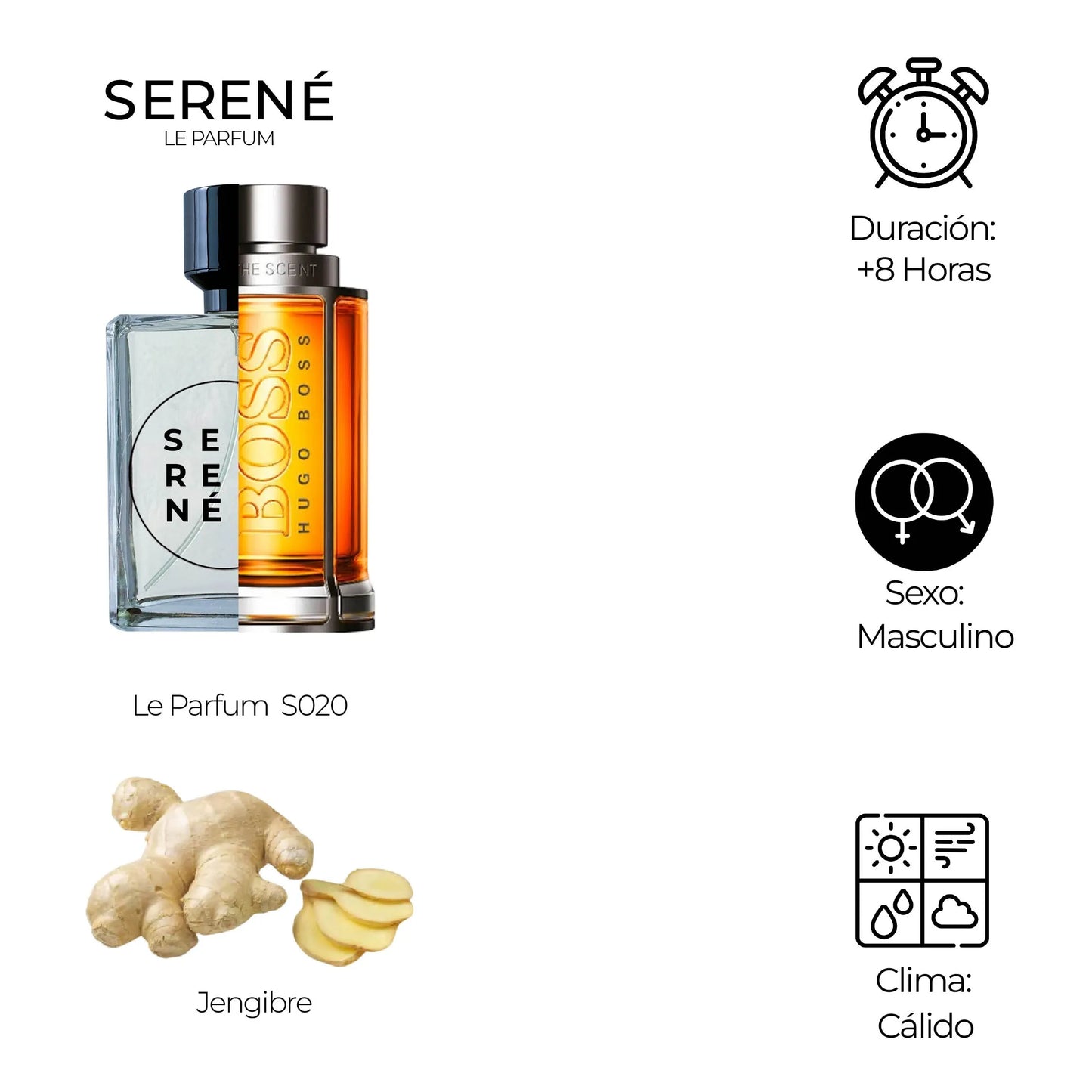 Serené Le Parfum S020 Inspirada en The Scent For Men By Hugo Boss