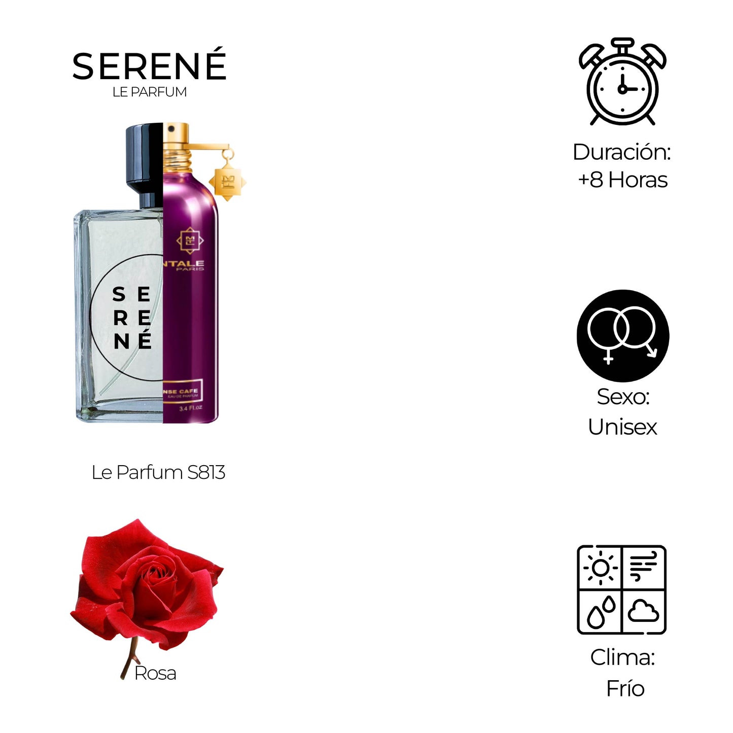 Serené Le Parfum S813 Inspirada en Intense Cafe By Montale