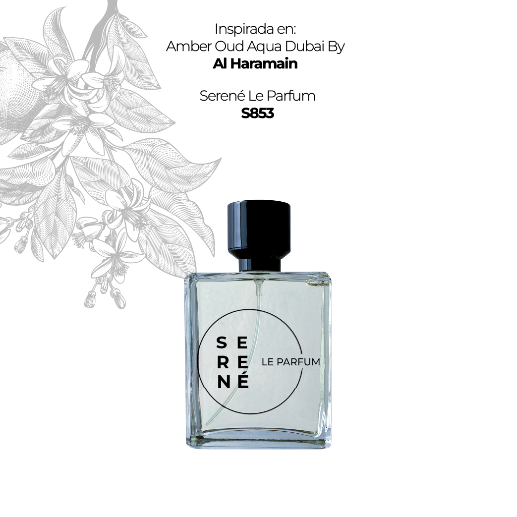 Serené Le Parfum S853 Inspirada en: Amber Oud Aqua Dubai By Al Haramain (Kit 50 ML)