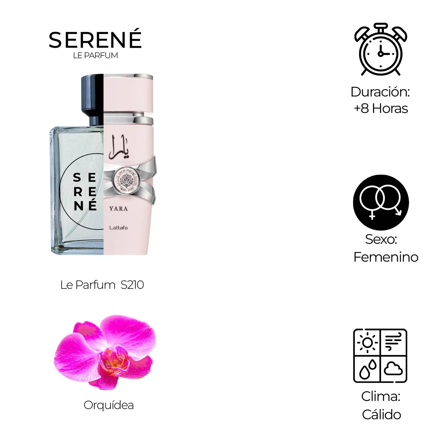 Serené Le Parfum S210 Inspirada en Yara Femenina By Lataffa