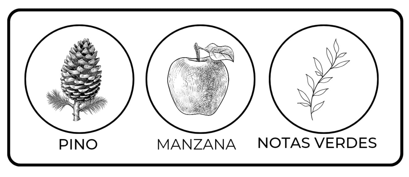 Notas olfativas