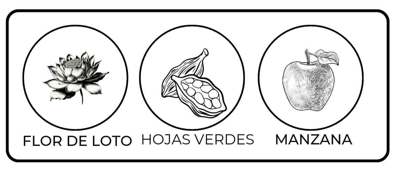 Notas olfativas