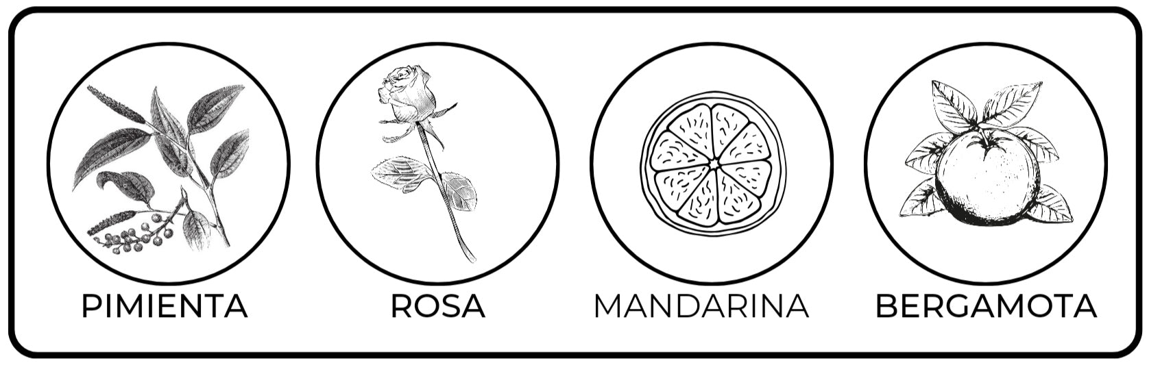 Notas olfativas