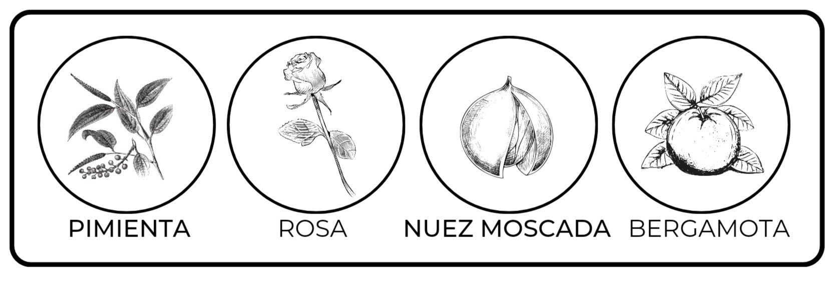 Notas olfativas